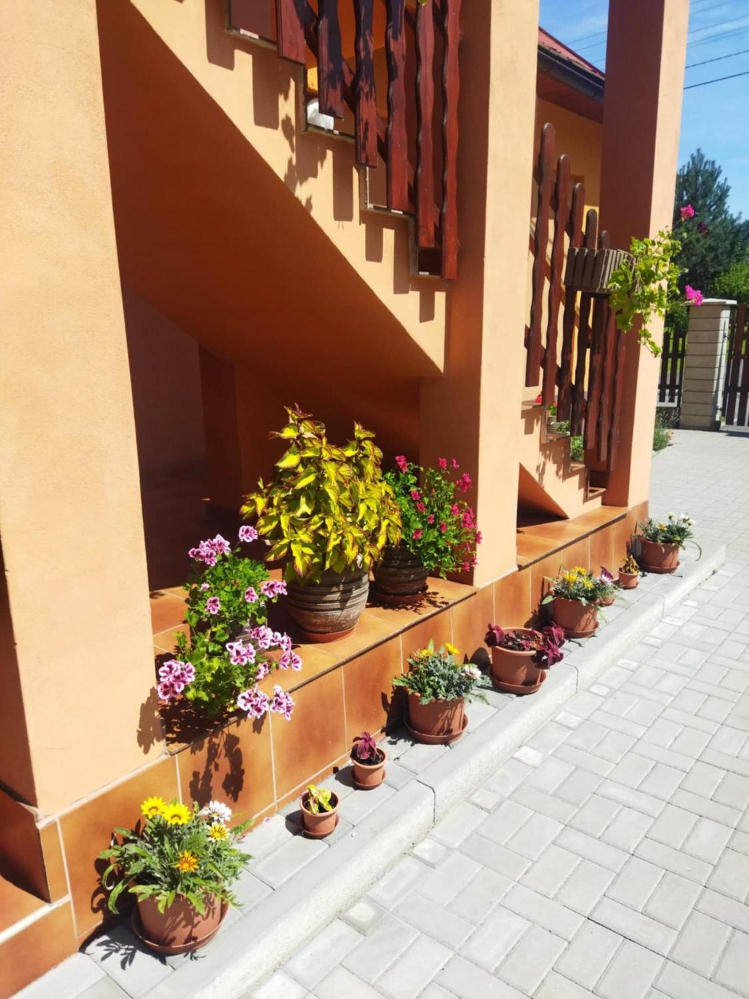 Ubytovani Pod Statkem Ticha Bagian luar foto